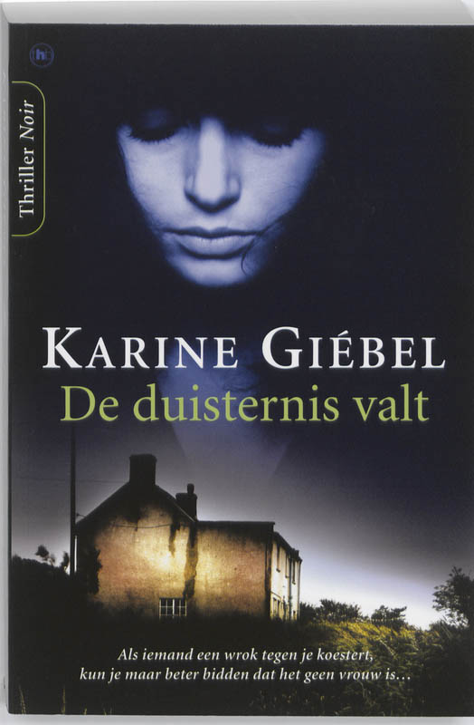 Omslag van De duisternis valt