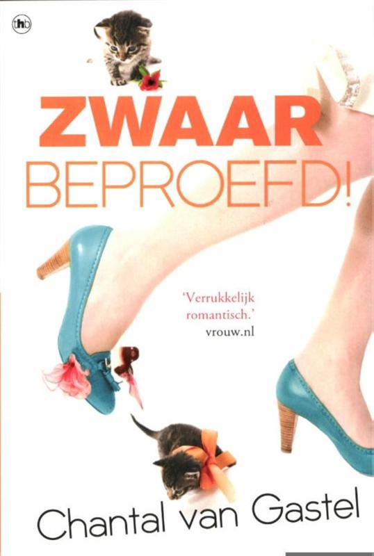 Omslag van Zwaar beproefd