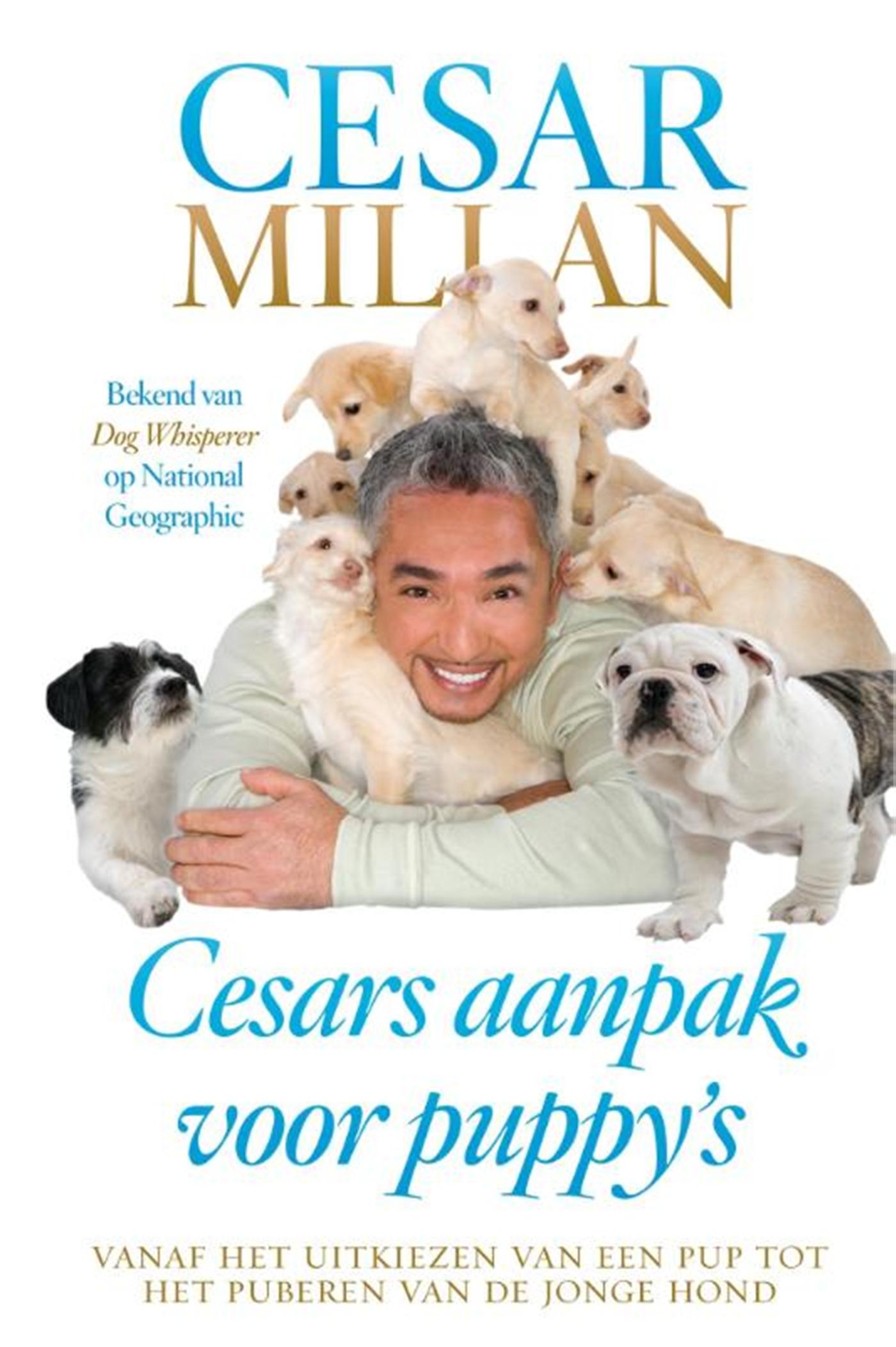 Omslag van Cesars aanpak voor puppy's