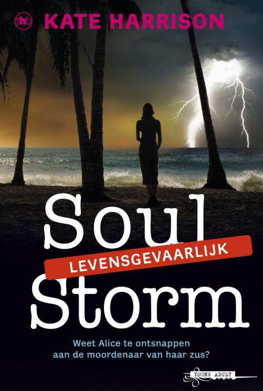 Omslag van Soul storm