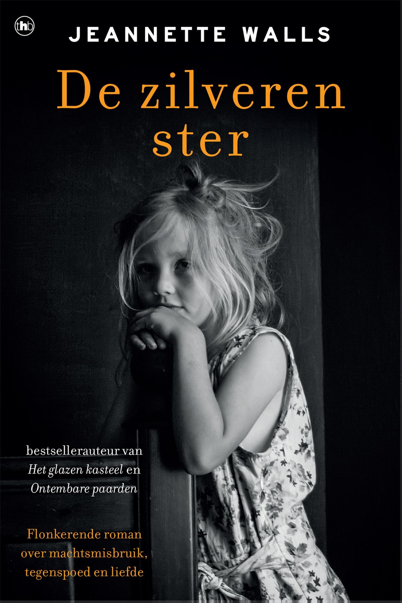 Omslag van De zilveren ster