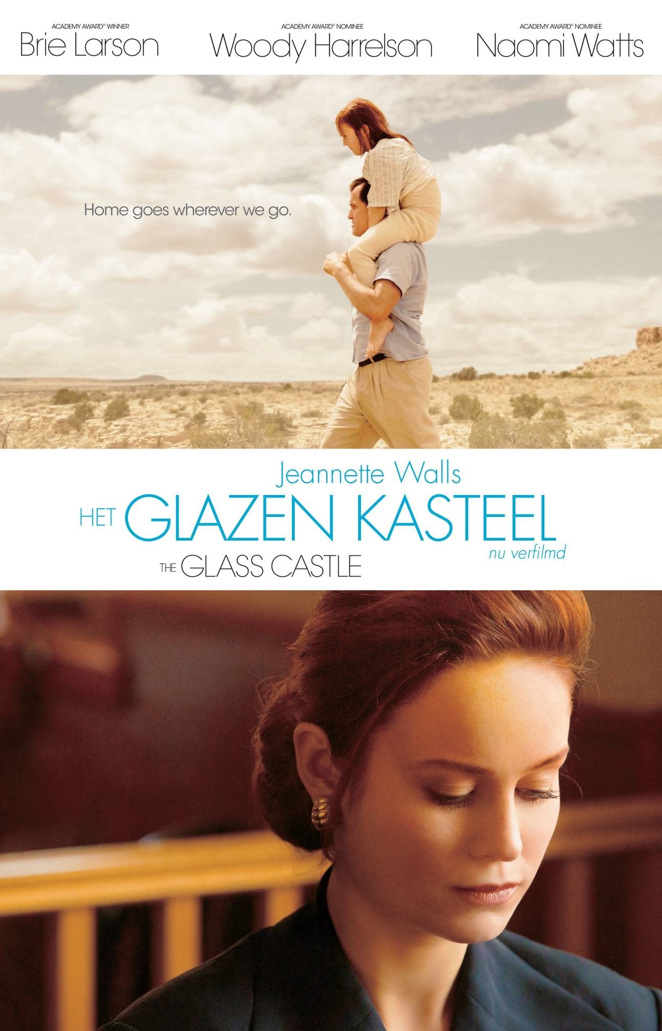 Omslag van Het glazen kasteel