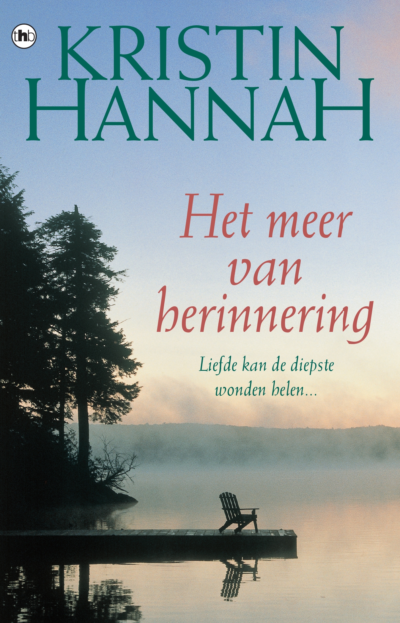 Omslag van Meer van herinnering