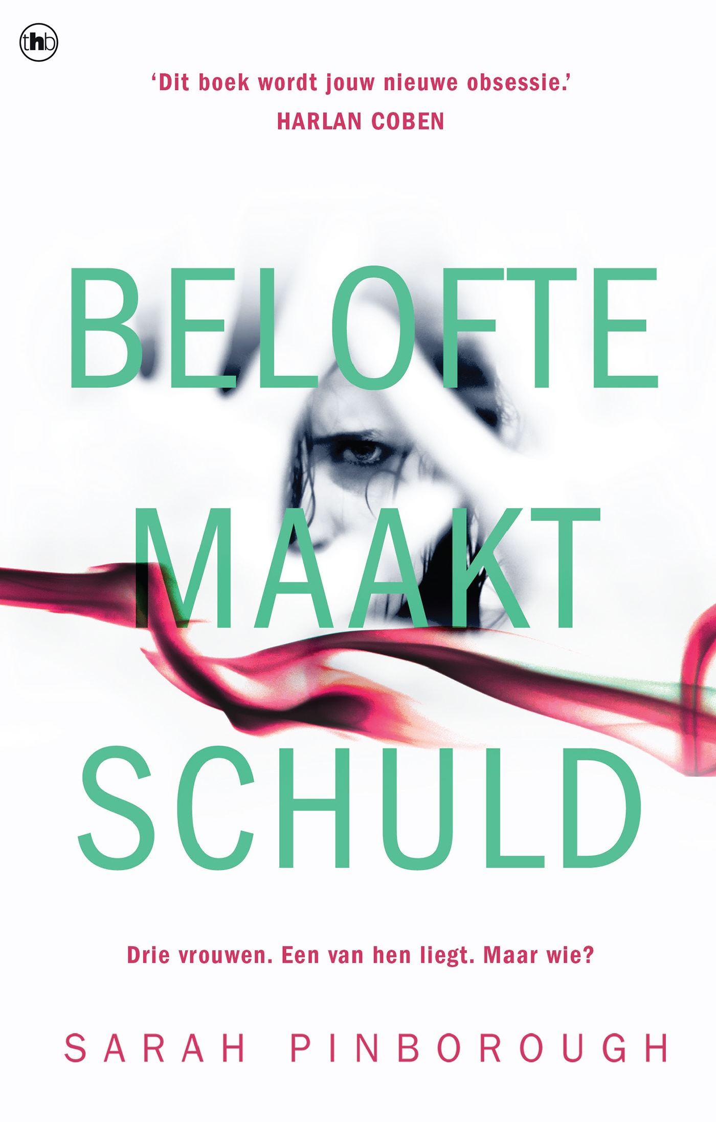 Omslag van Belofte maakt schuld