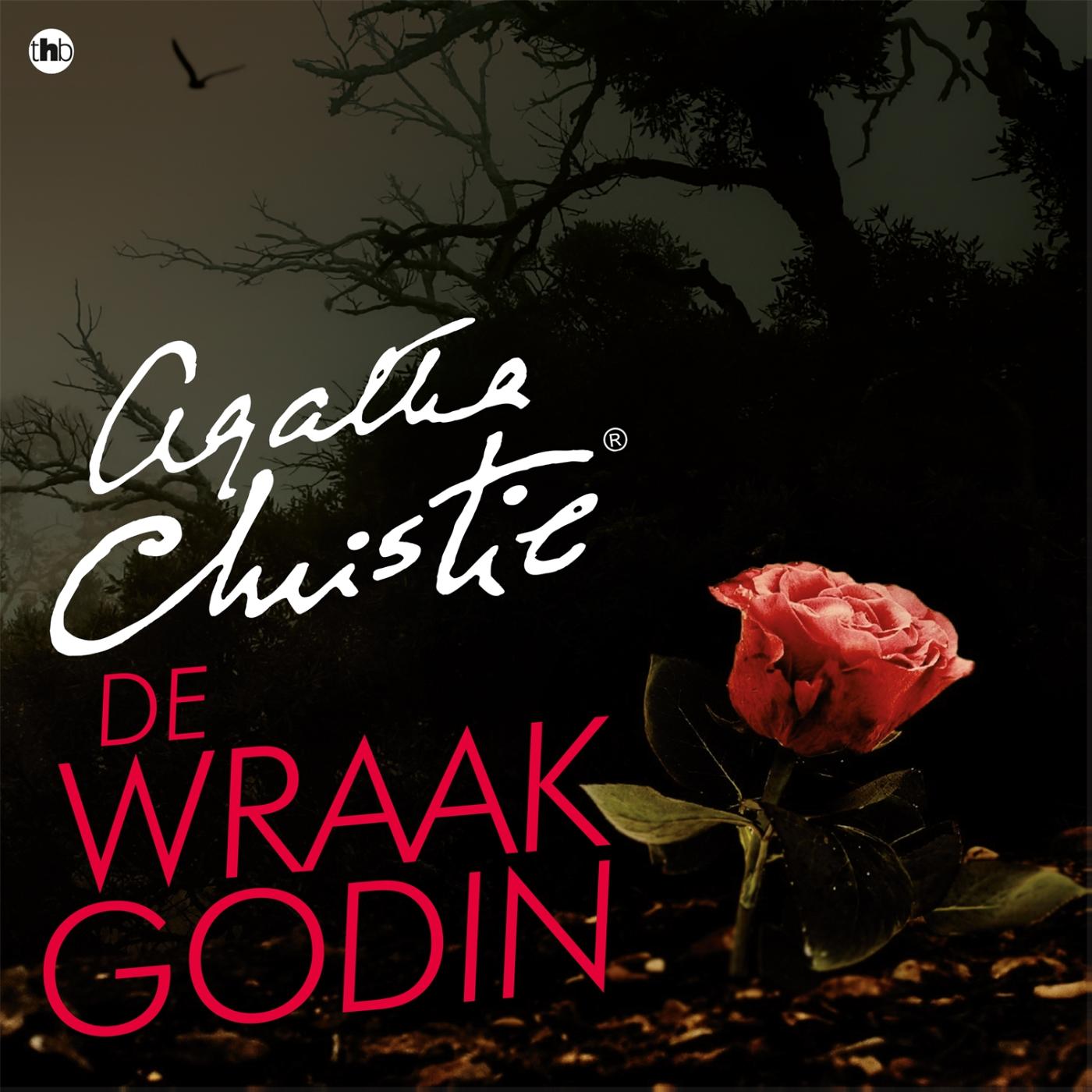 Omslag van De wraakgodin