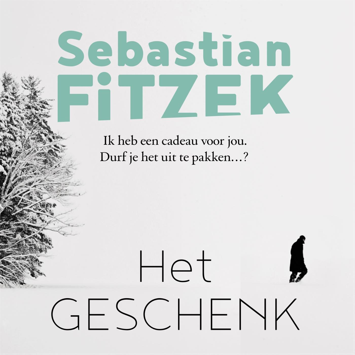 Omslag van Het geschenk