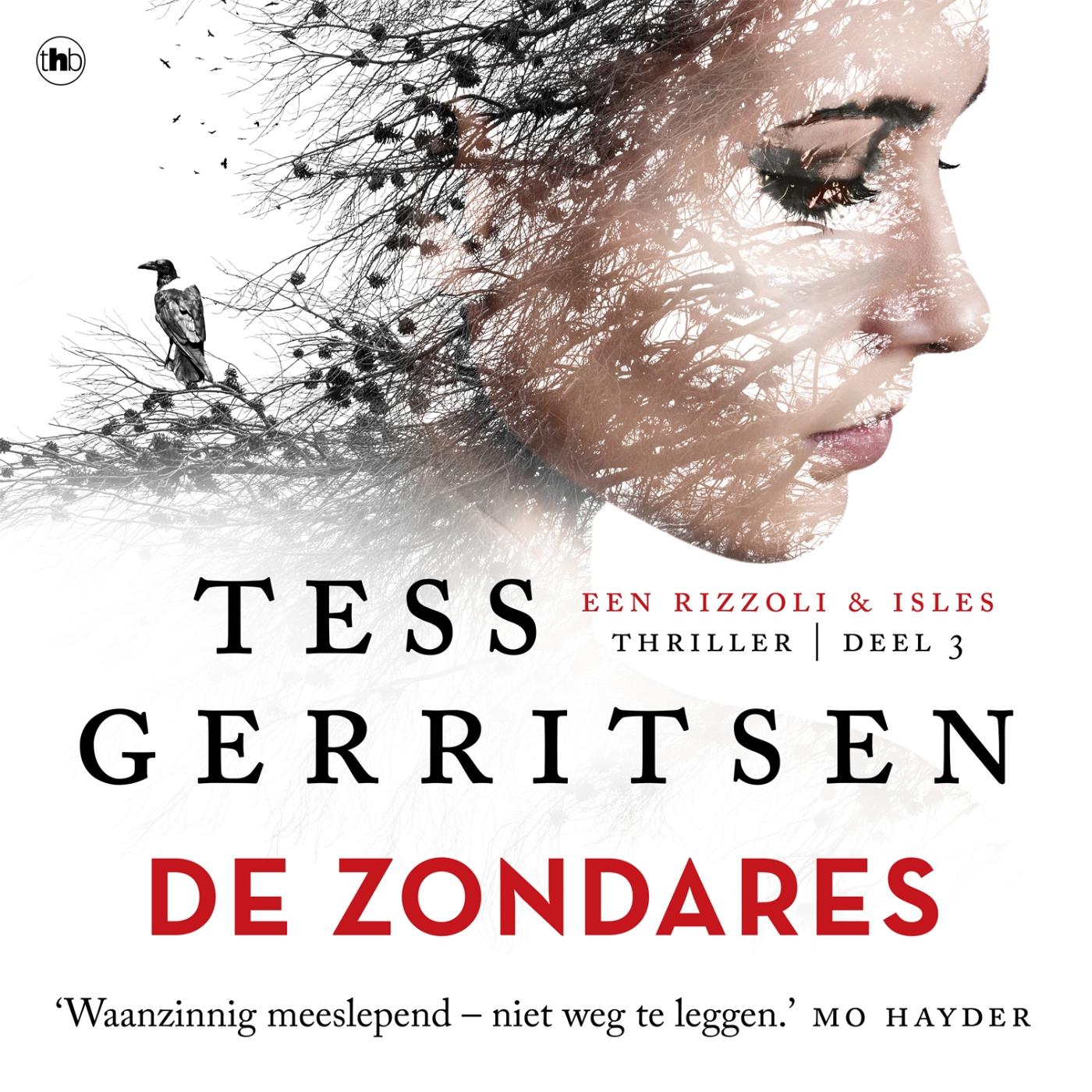 Omslag van De zondares