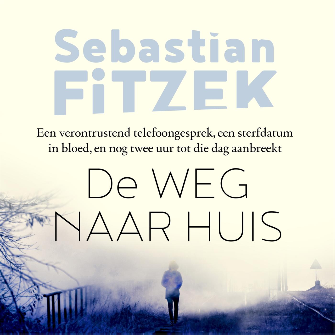 Omslag van De weg naar huis
