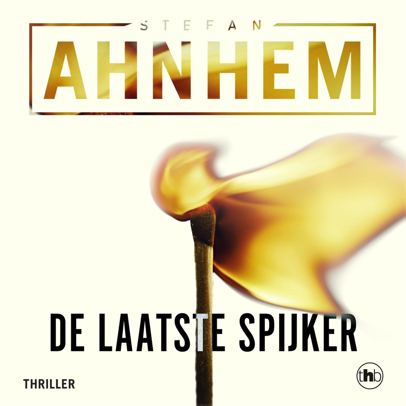 Omslag van De laatste spijker