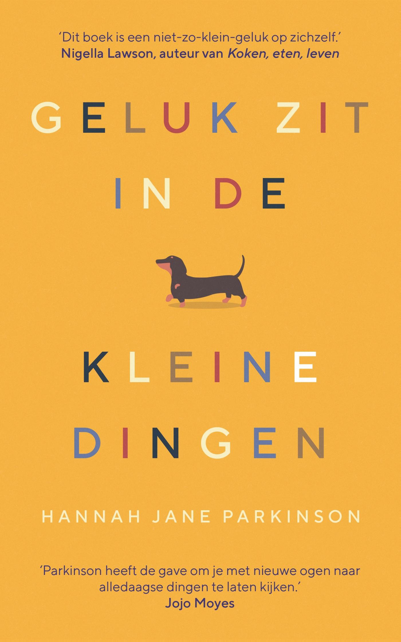 Omslag van Geluk zit in de kleine dingen