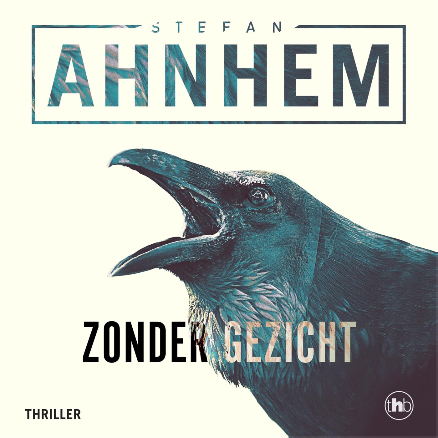 Omslag van Zonder gezicht