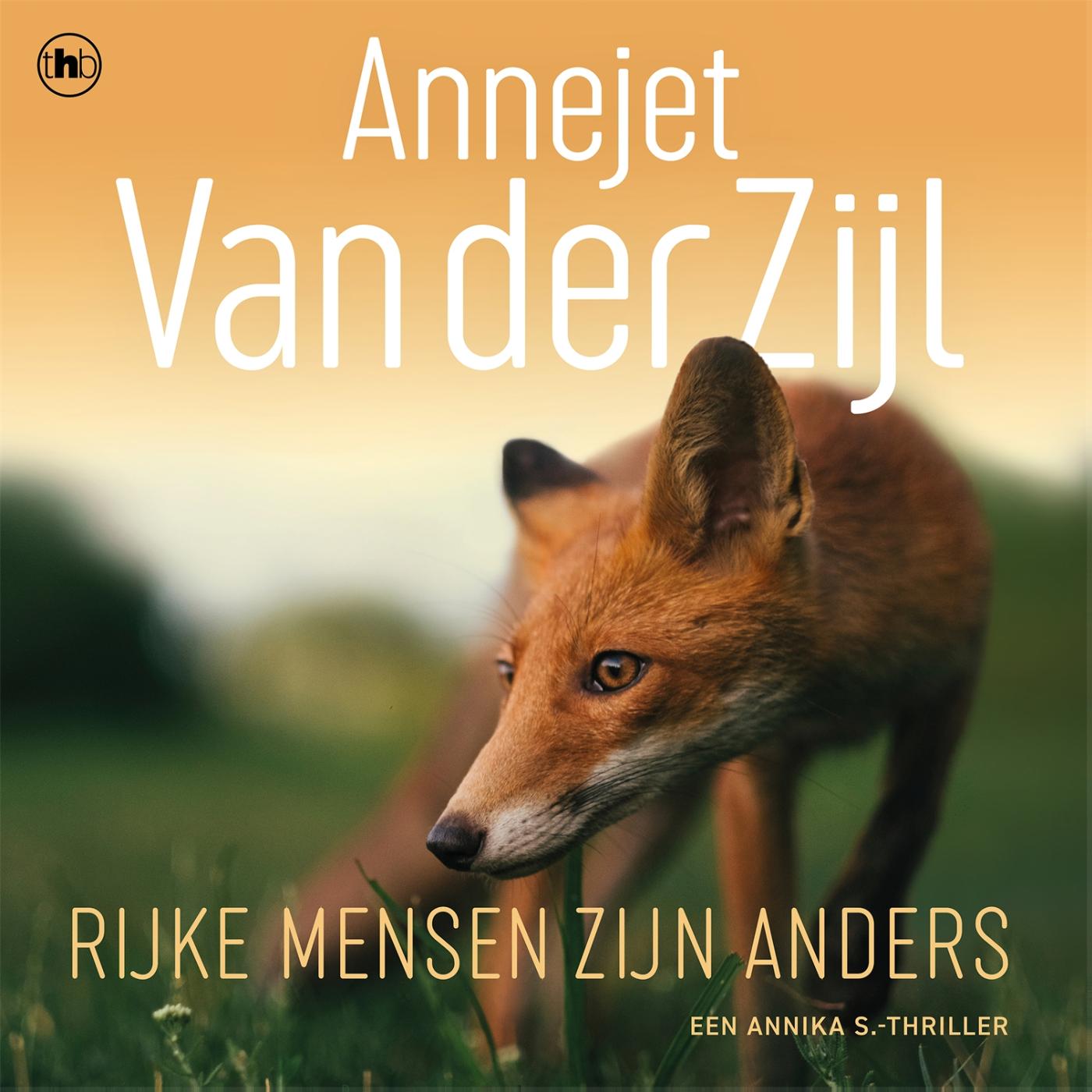 Omslag van Rijke mensen zijn anders