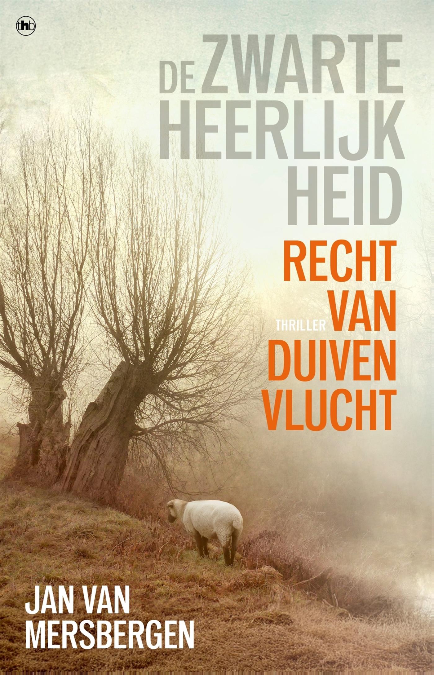 Omslag van Recht van duivenvlucht