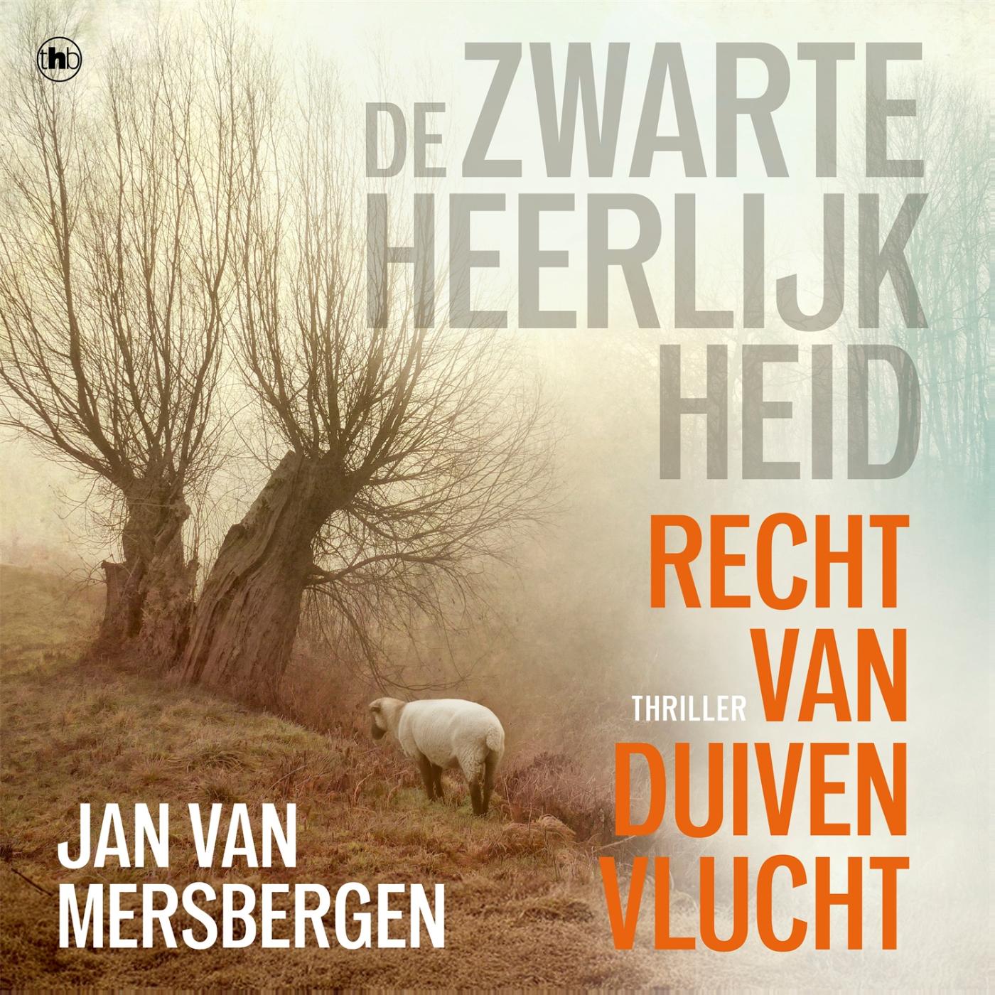 Omslag van Recht van duivenvlucht