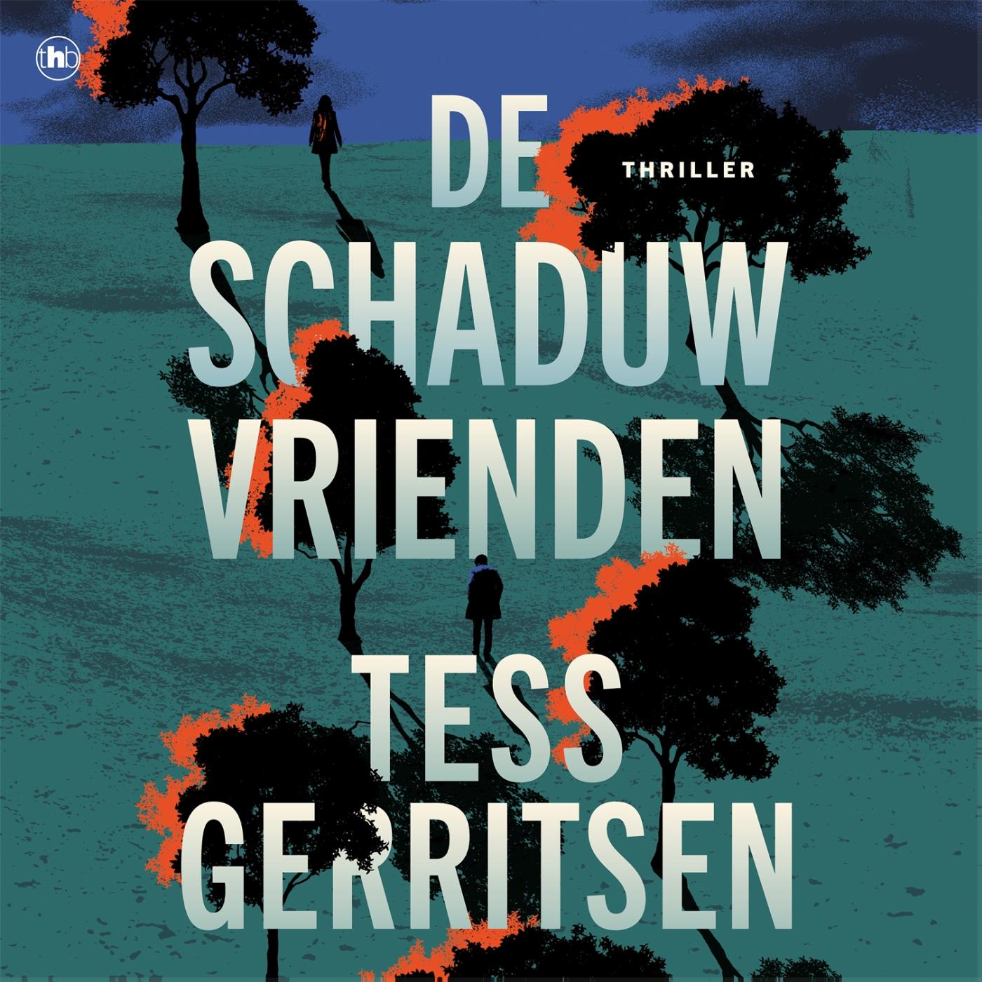 Omslag van De schaduwvrienden