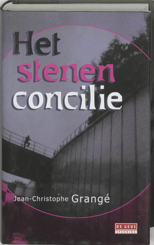 Omslag van Het stenen concilie