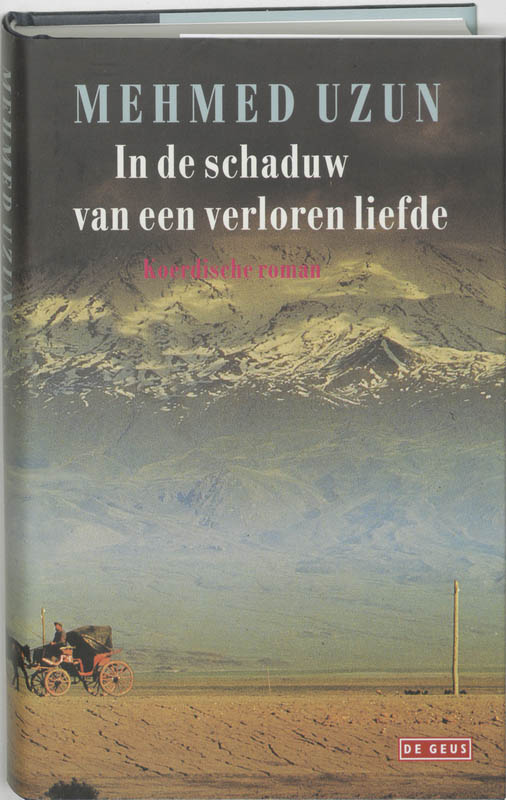 Omslag van In de schaduw van een verloren liefde
