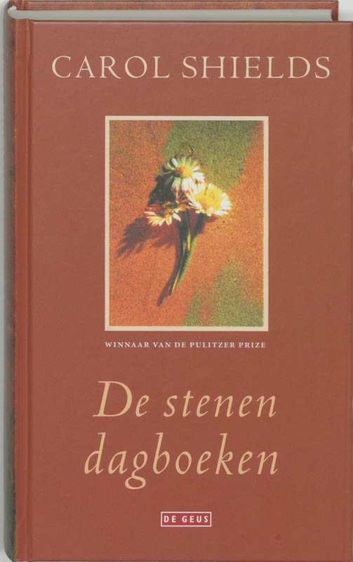 Omslag van De stenen dagboeken