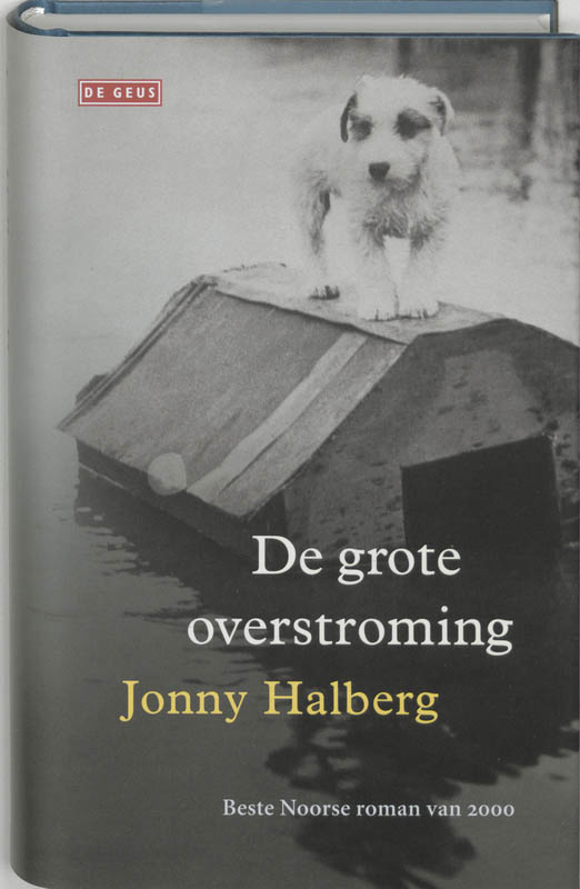 Omslag van De grote overstroming