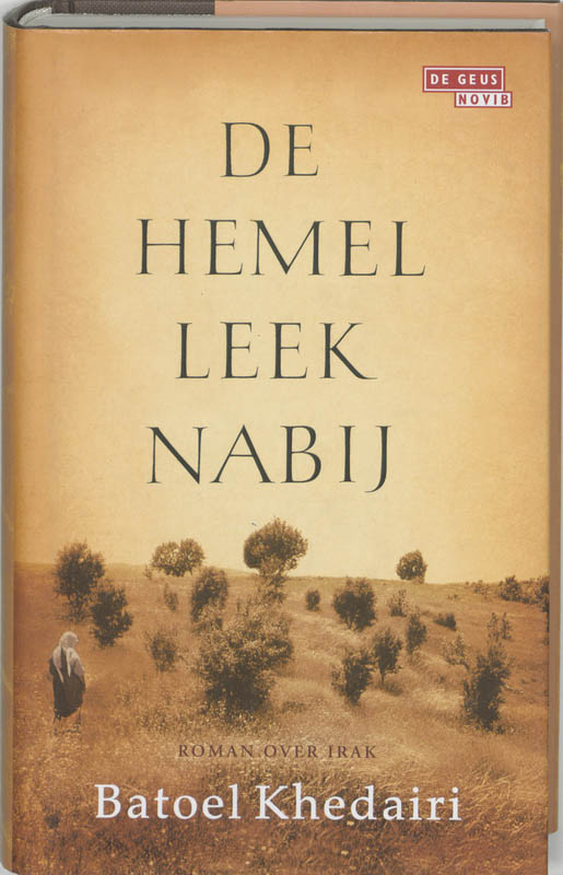 Omslag van De hemel leek nabij