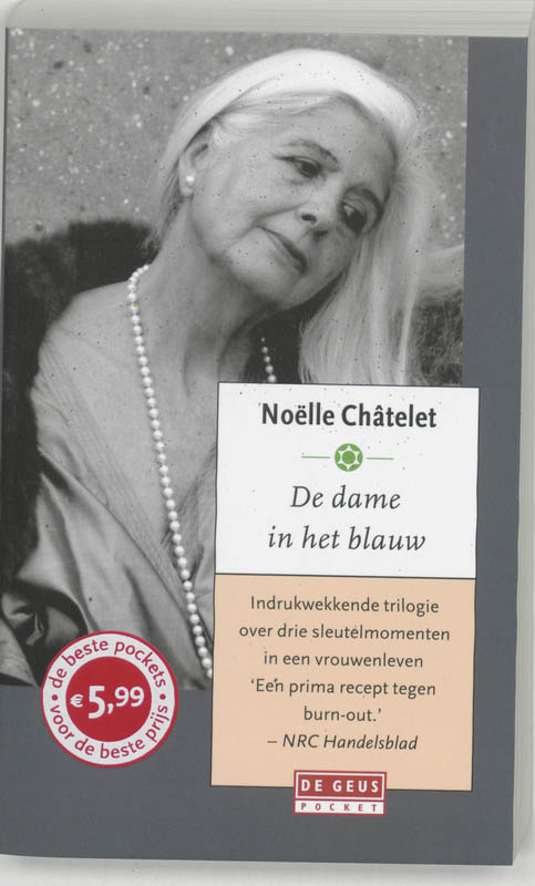 Omslag van De dame in het blauw
