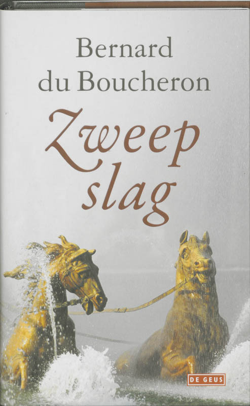 Omslag van Zweepslag