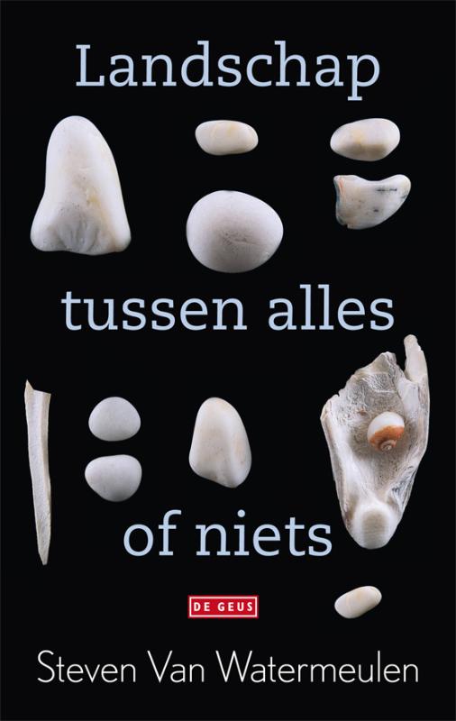 Omslag van Landschap tussen alles of niets