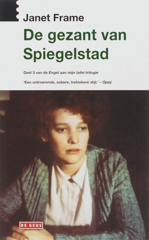 Omslag van Deel 3: de gezant van Spiegelstad