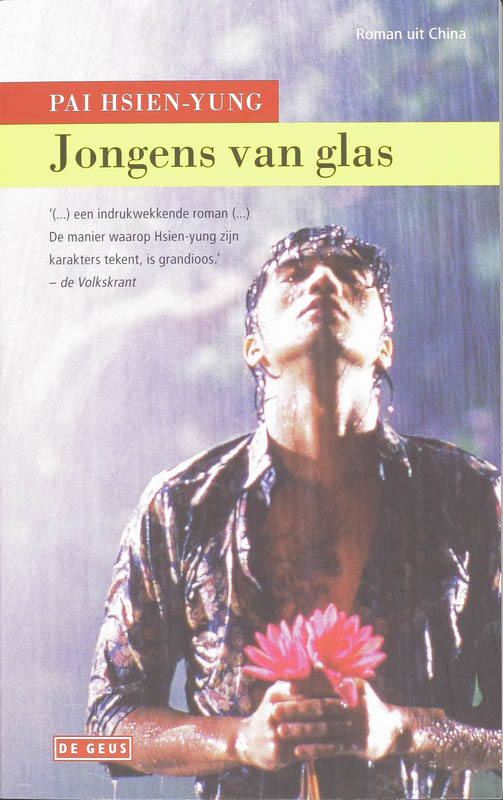 Omslag van Jongens van glas