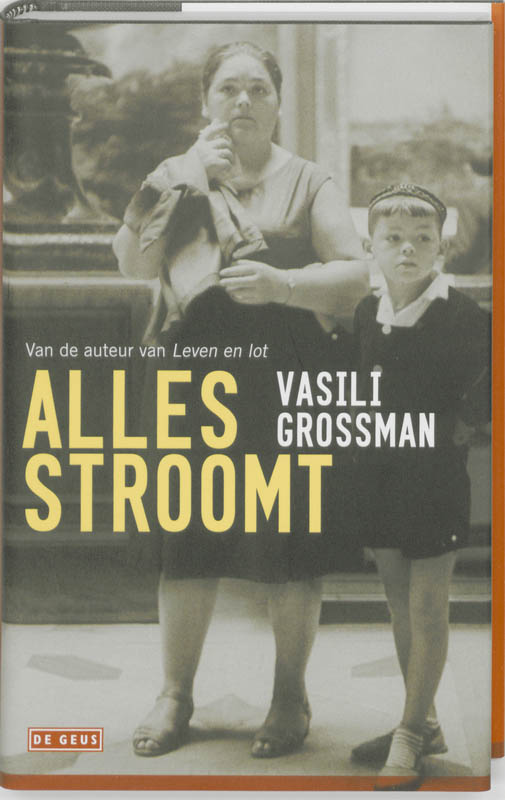 Omslag van Alles stroomt