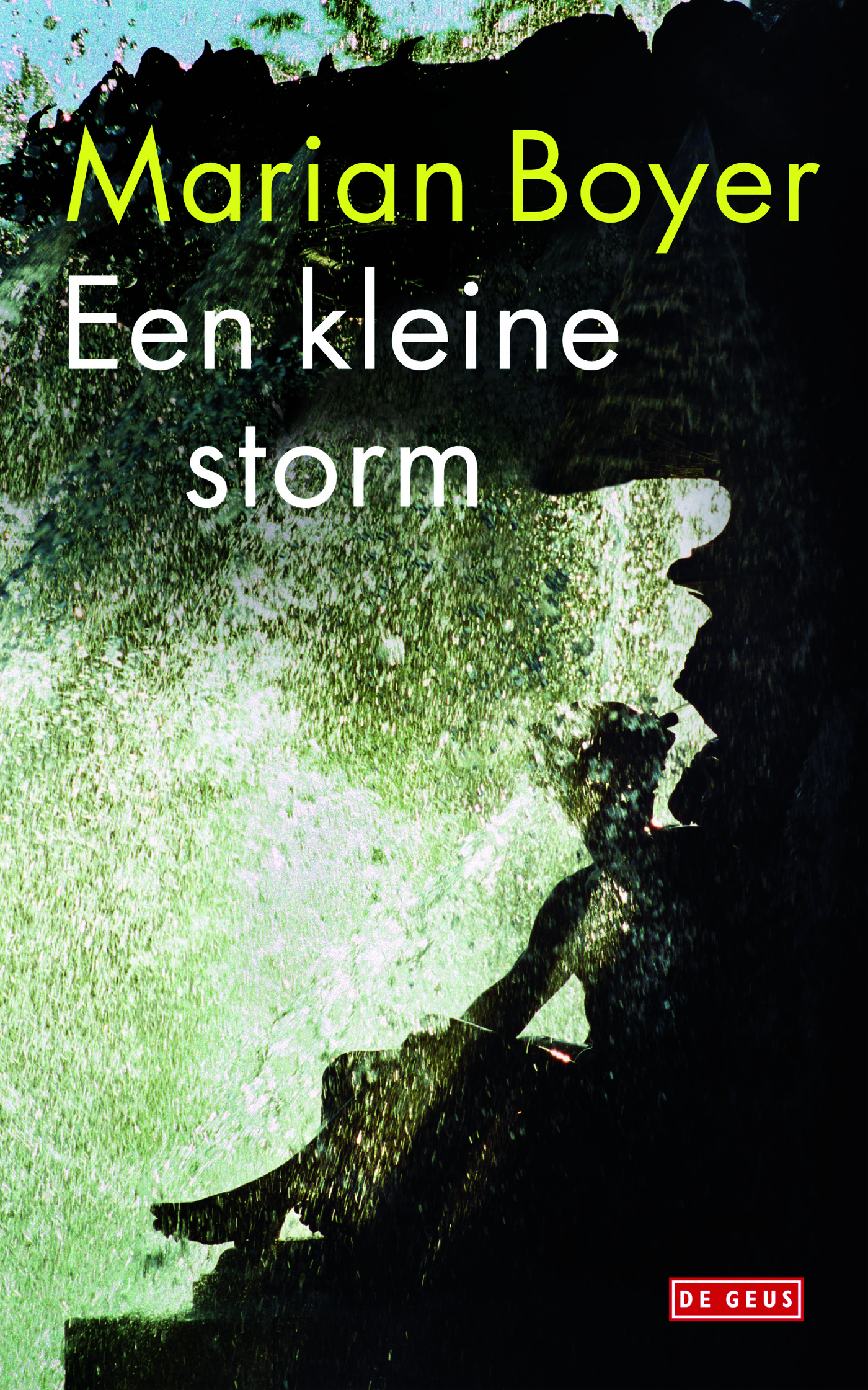 Omslag van Een kleine storm