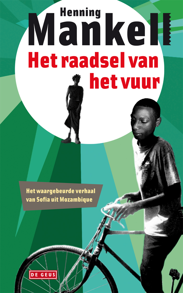 Omslag van Het raadsel van het vuur