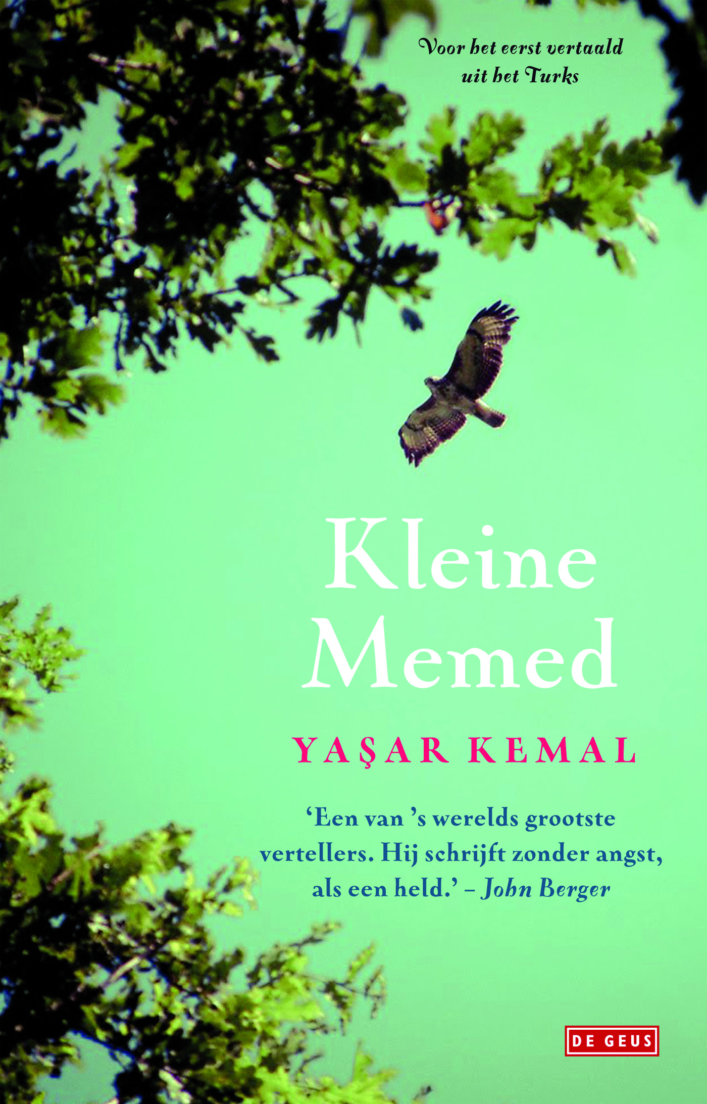 Omslag van Kleine Memed