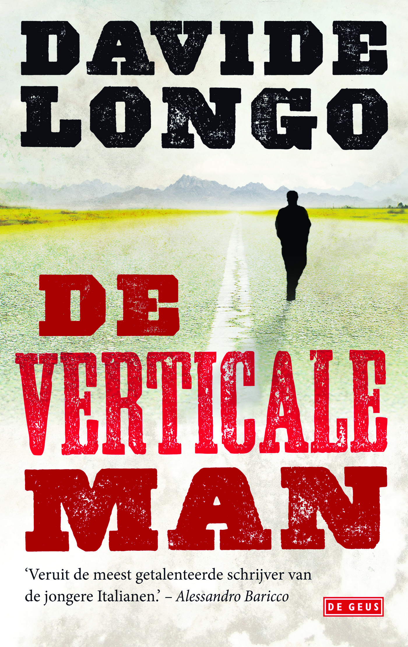 Omslag van De verticale man