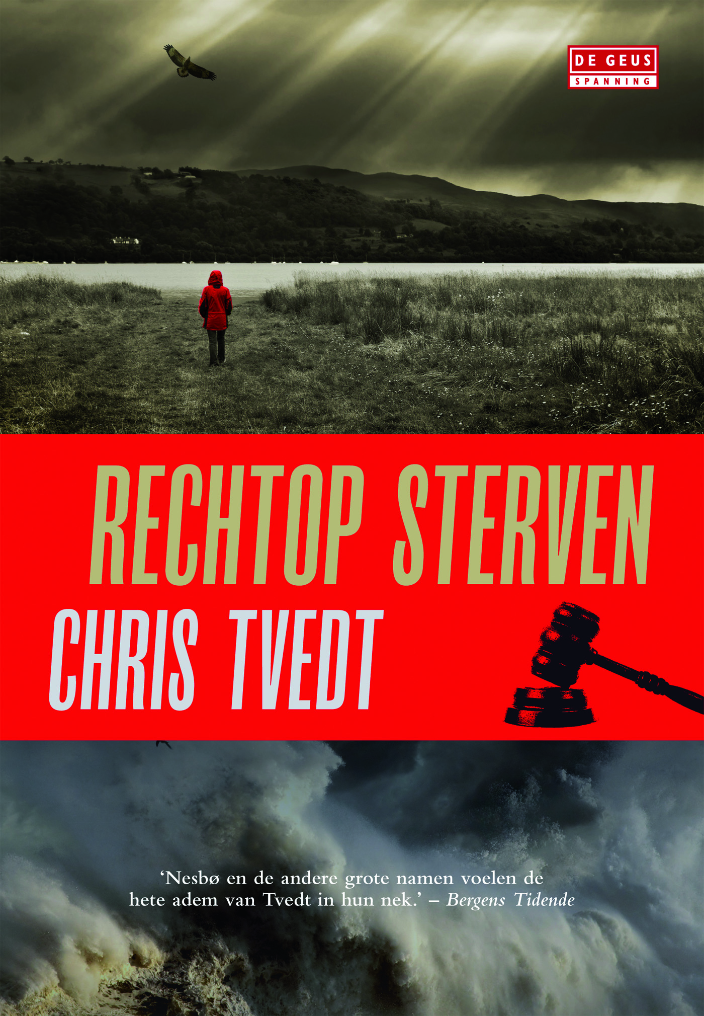 Omslag van Rechtop sterven