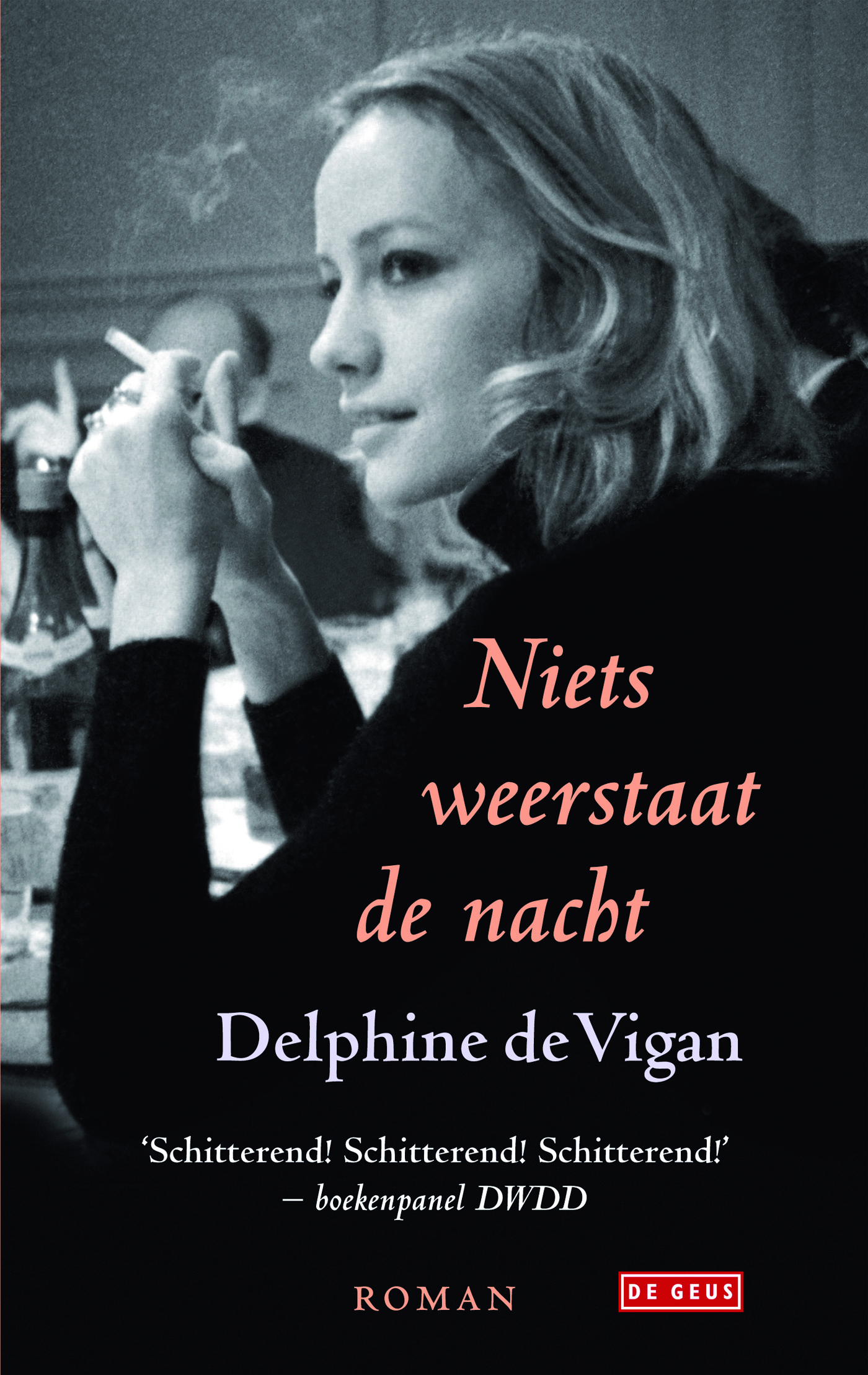 Omslag van Niets weerstaat de nacht
