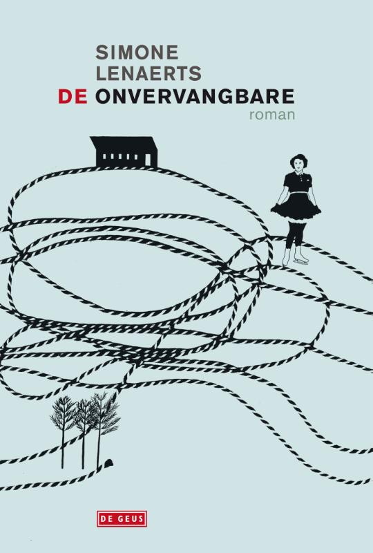 Omslag van De onvervangbare
