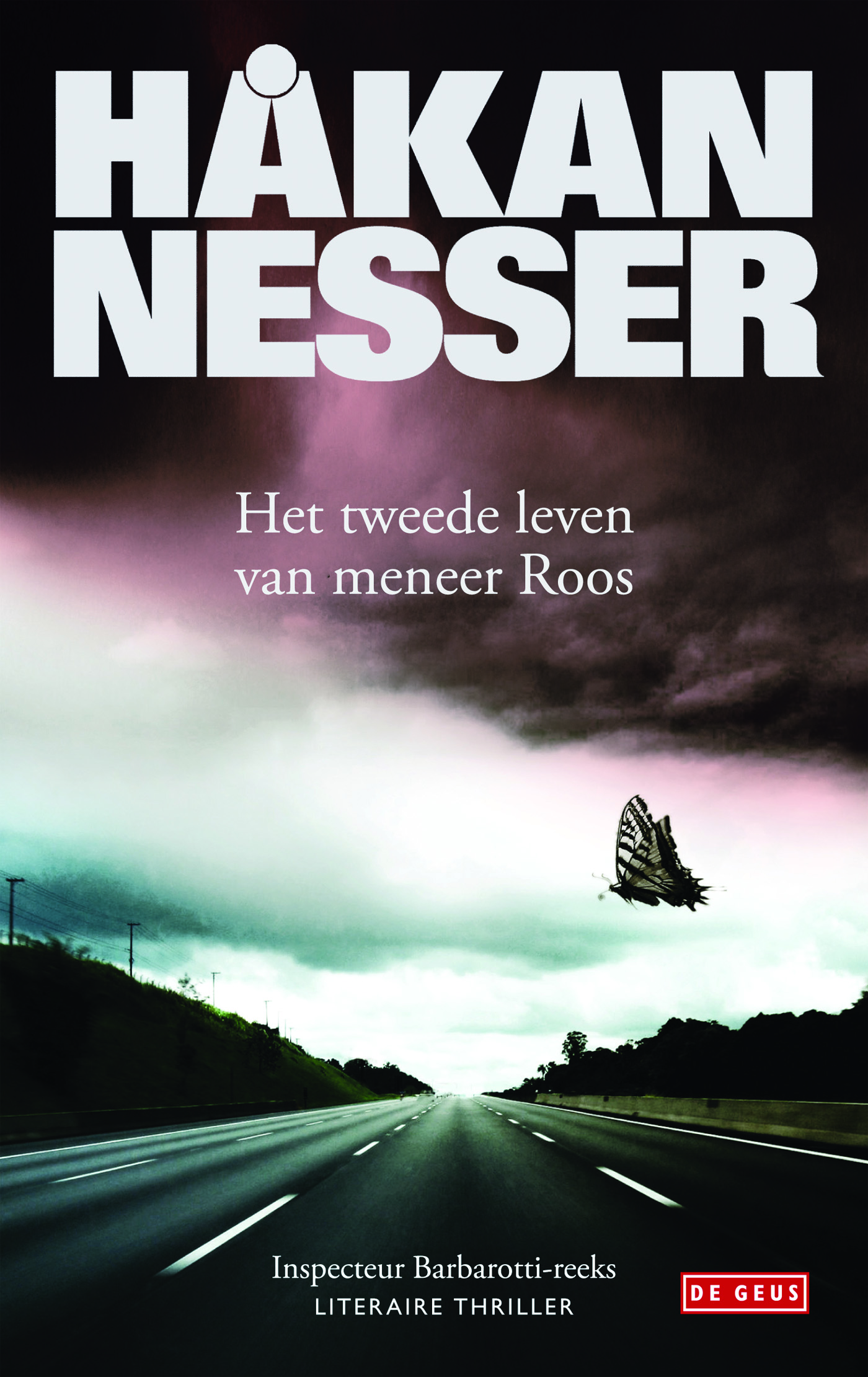 Omslag van Het tweede leven van meneer Roos
