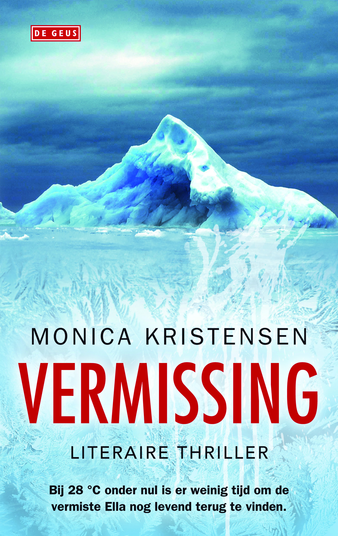 Omslag van Vermissing