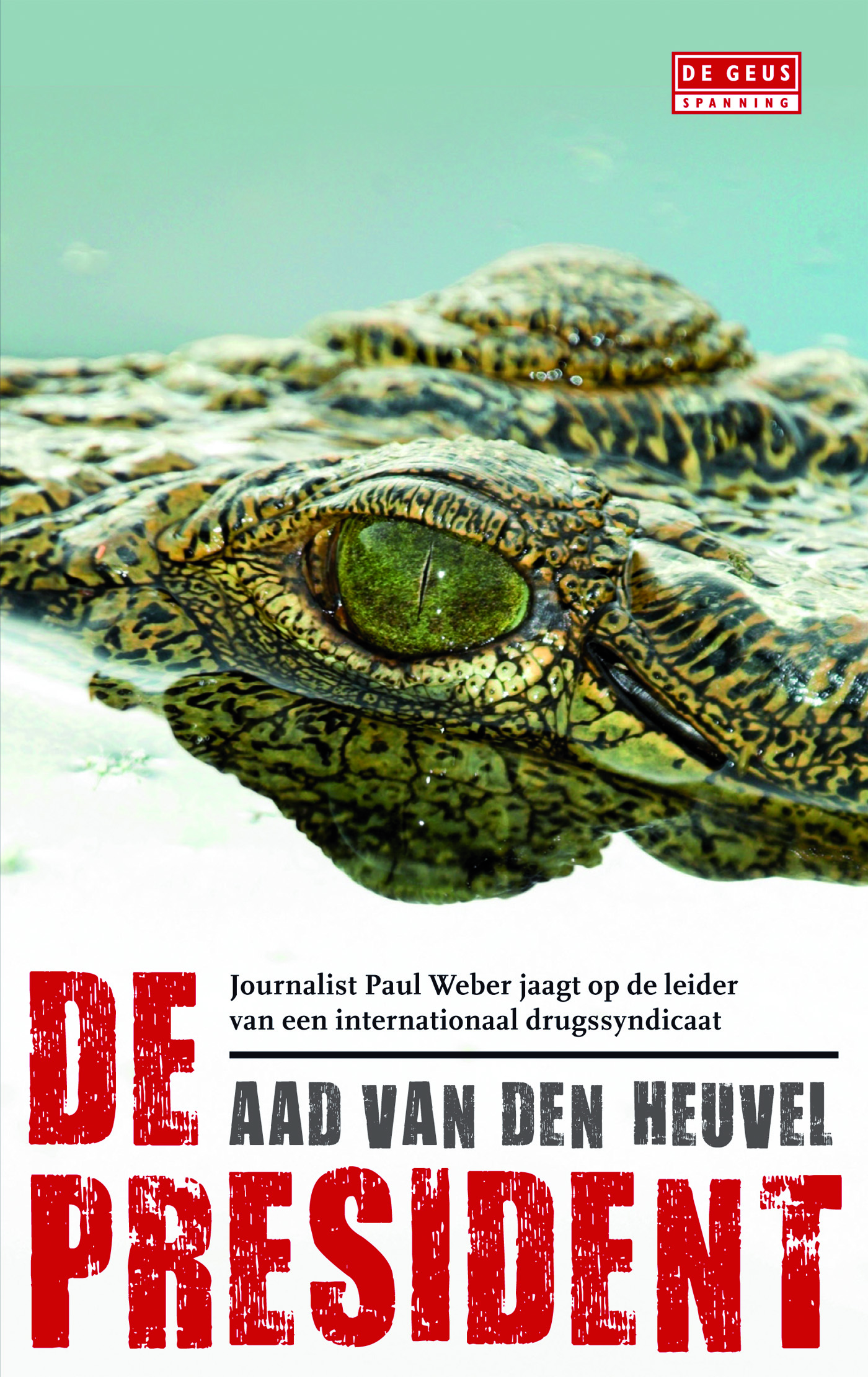 Omslag van De president