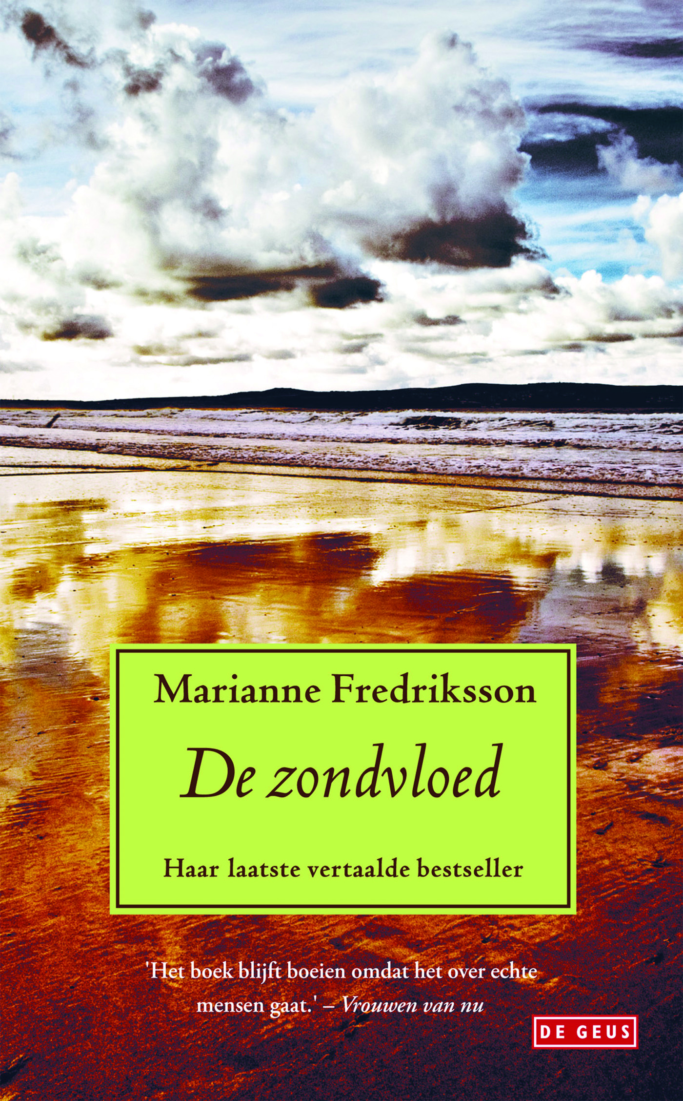 Omslag van De zondvloed