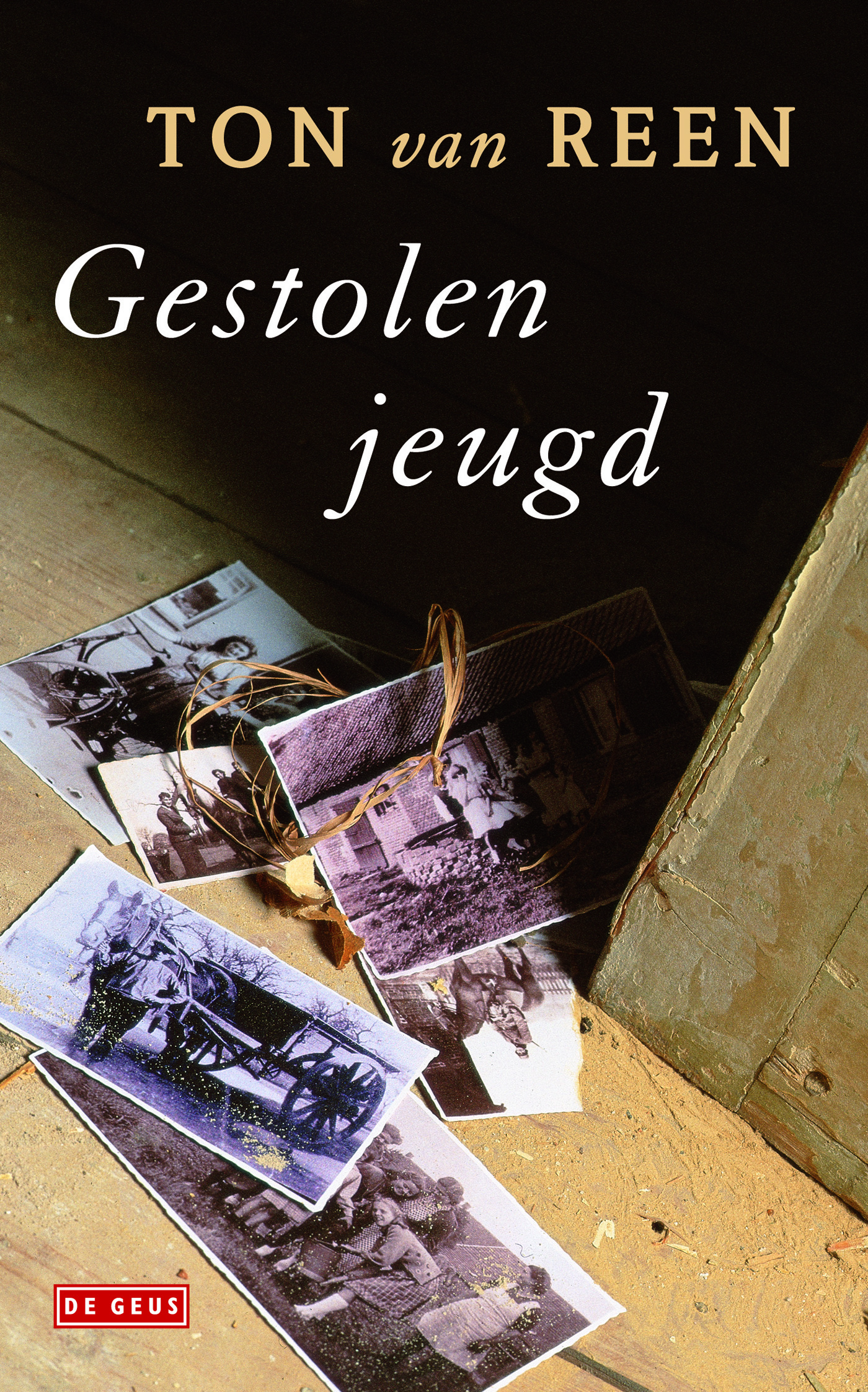 Omslag van Gestolen jeugd