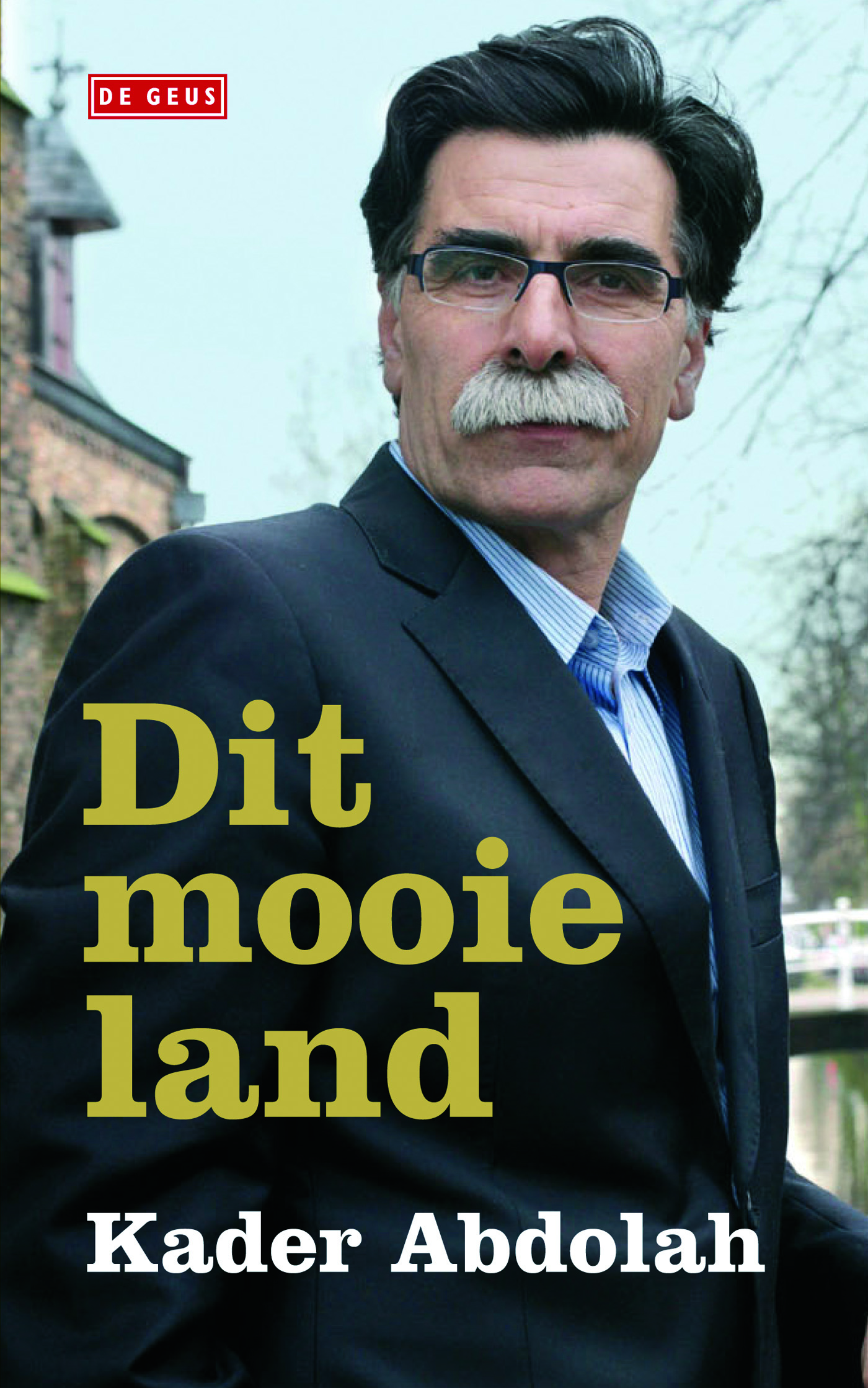 Omslag van Dit mooie land