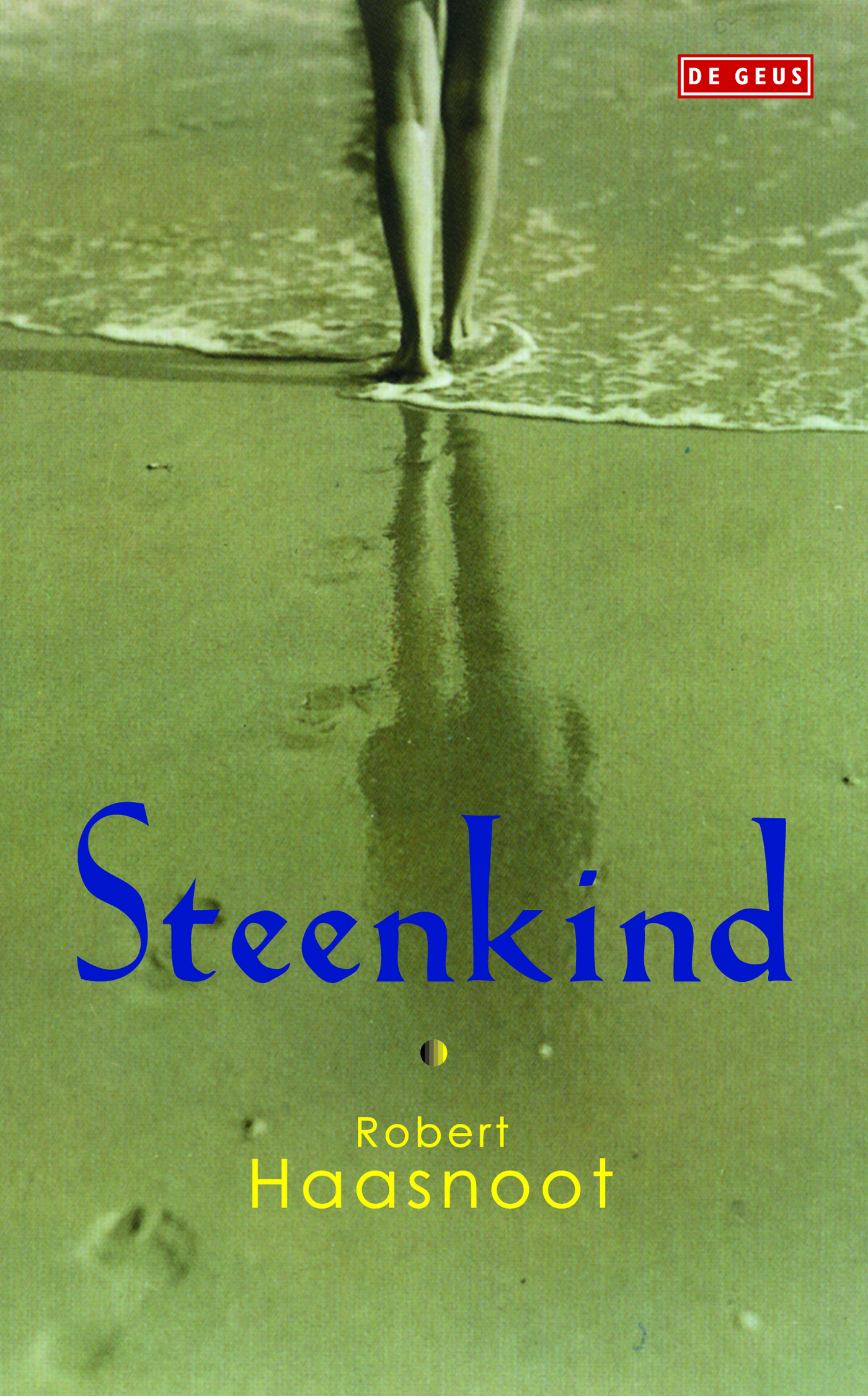 Omslag van Steenkind
