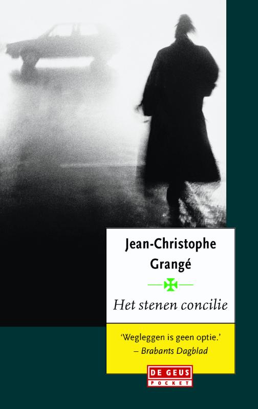 Omslag van Het stenen concilie