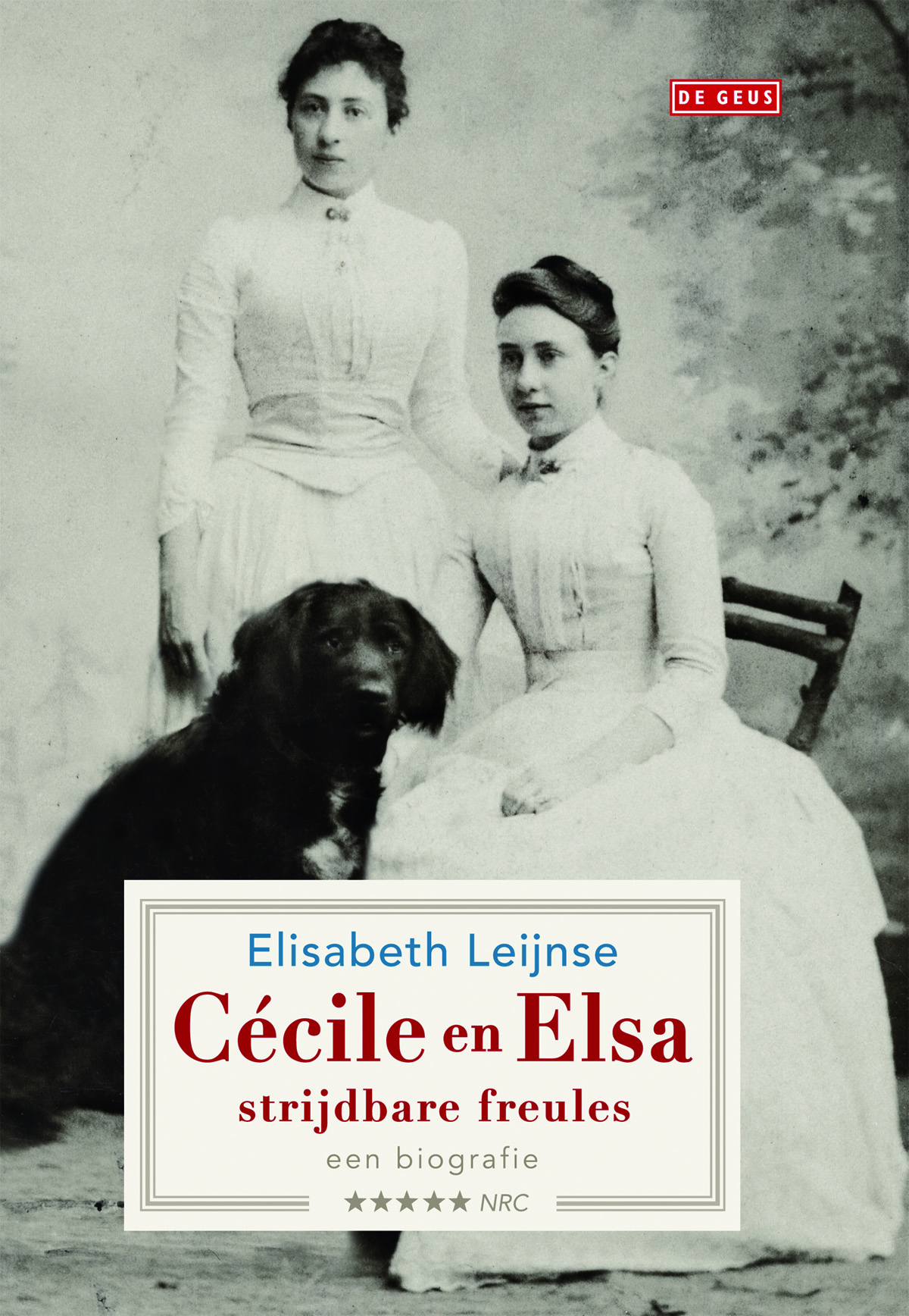 Omslag van Cécile en Elsa