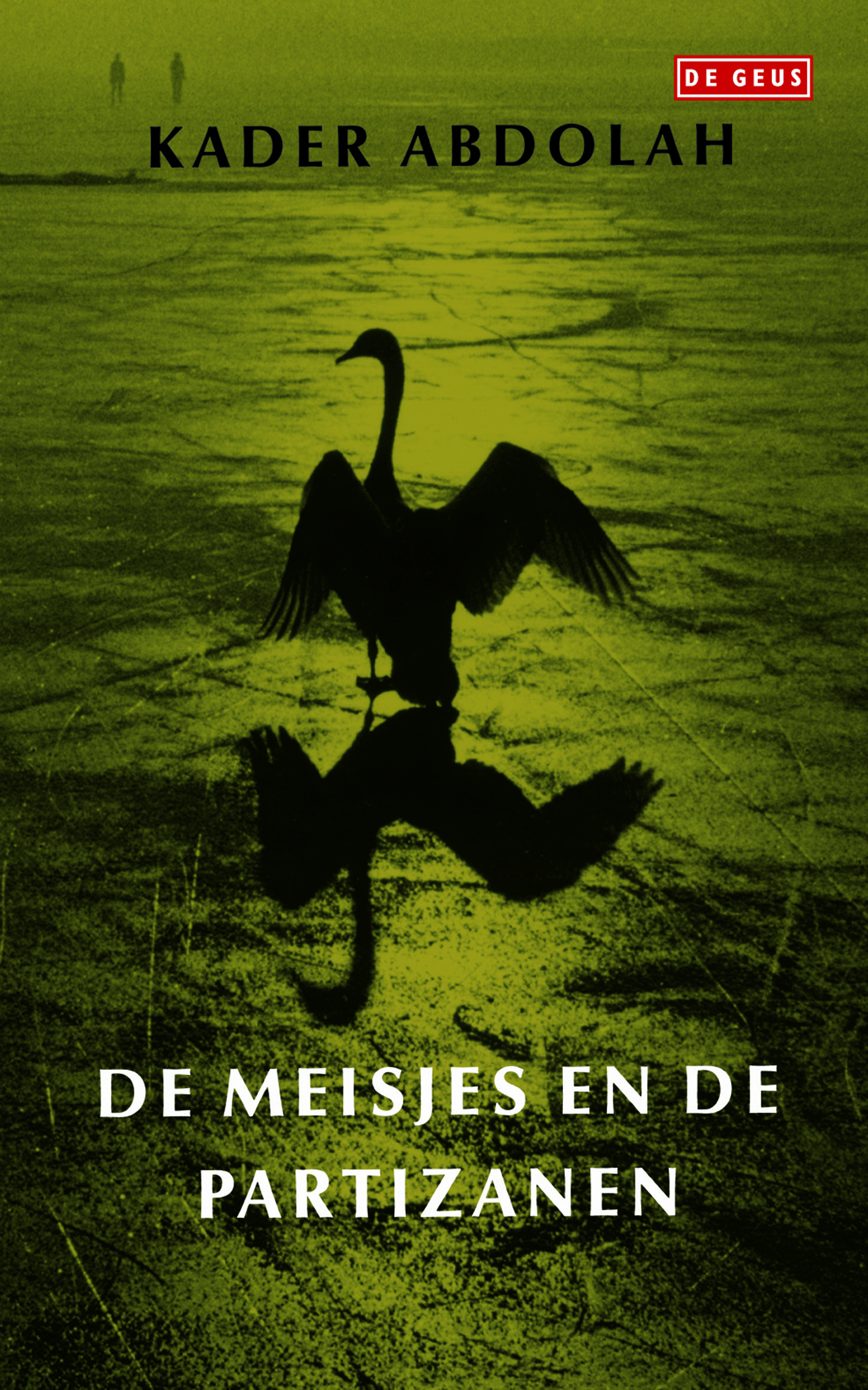 Omslag van Meisjes en de partizanen