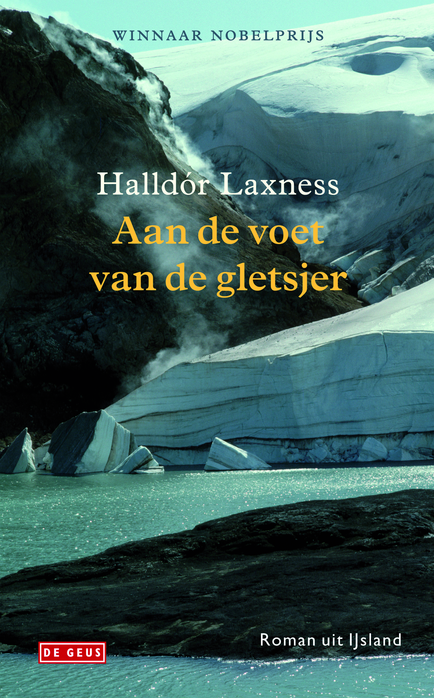Omslag van Aan de voet van de gletsjer