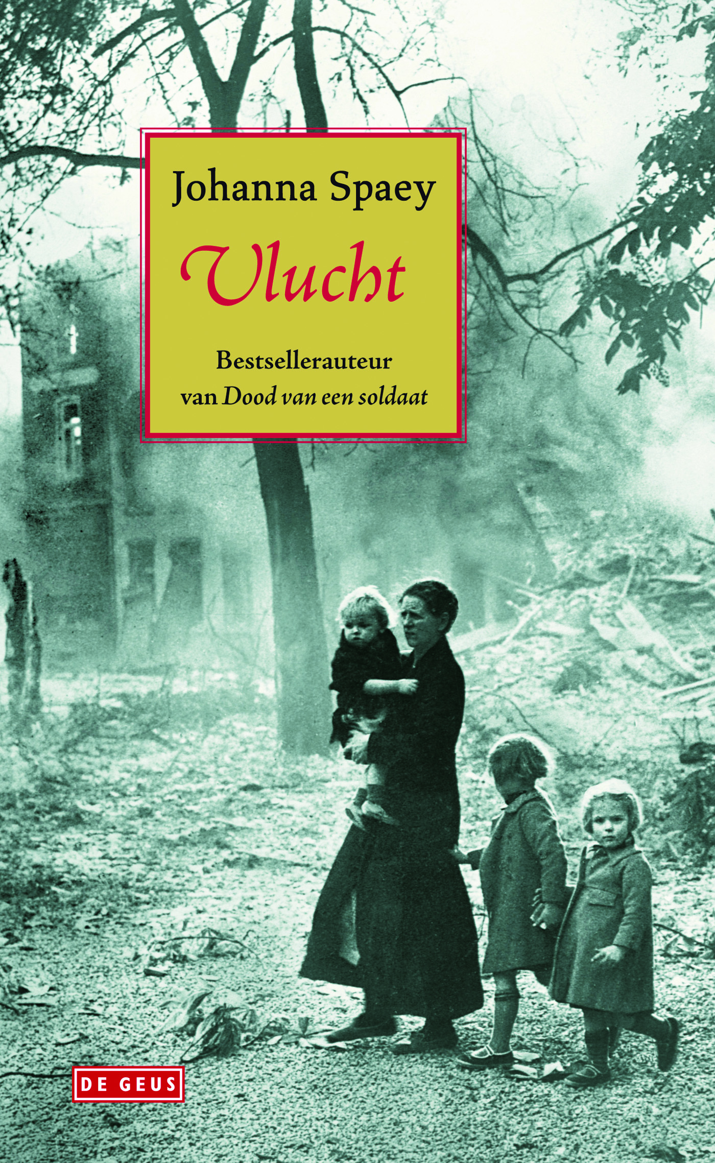 Omslag van Vlucht
