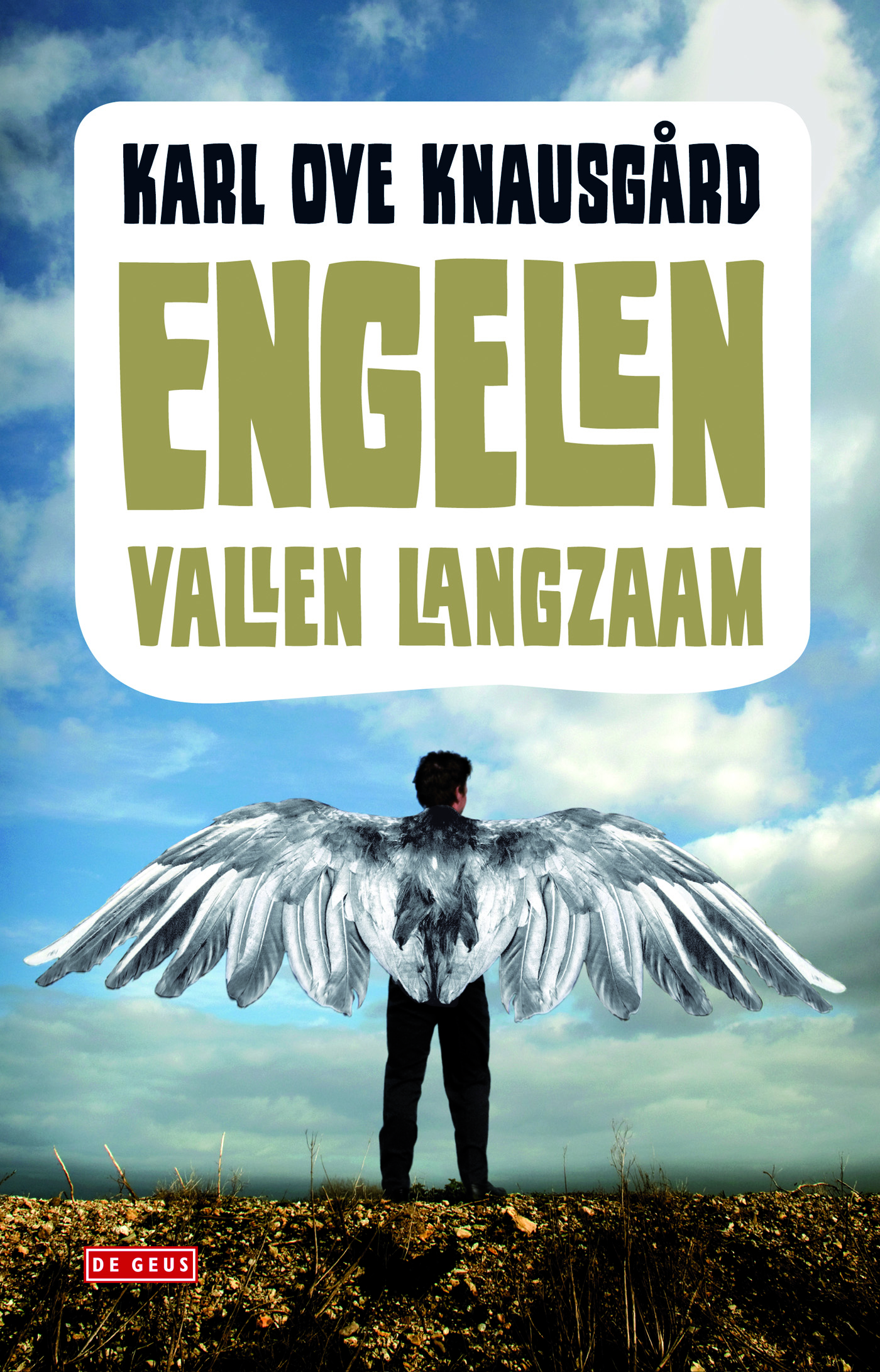 Omslag van Engelen vallen langzaam